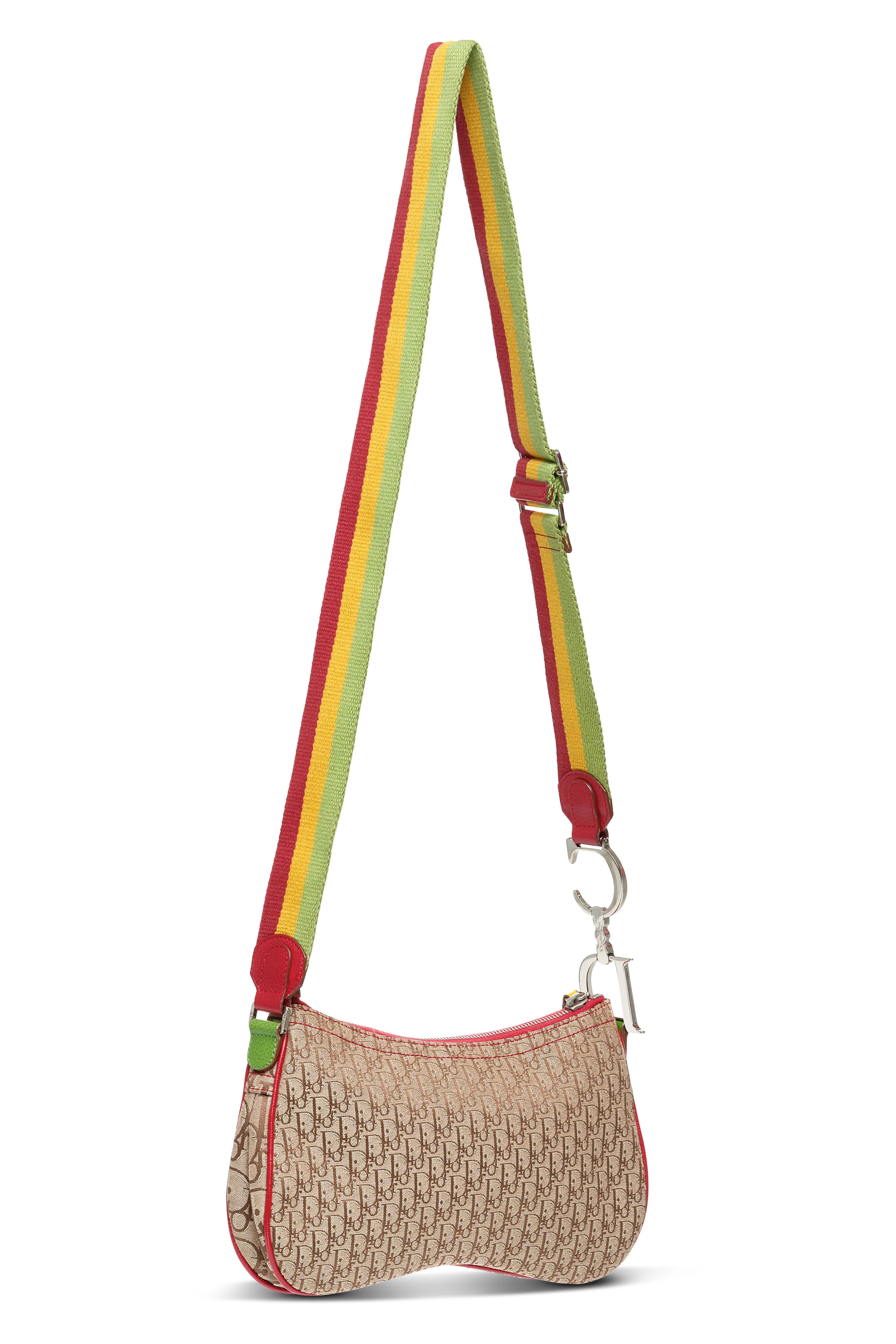 Christian Dior Rasta Saddle Crossbody