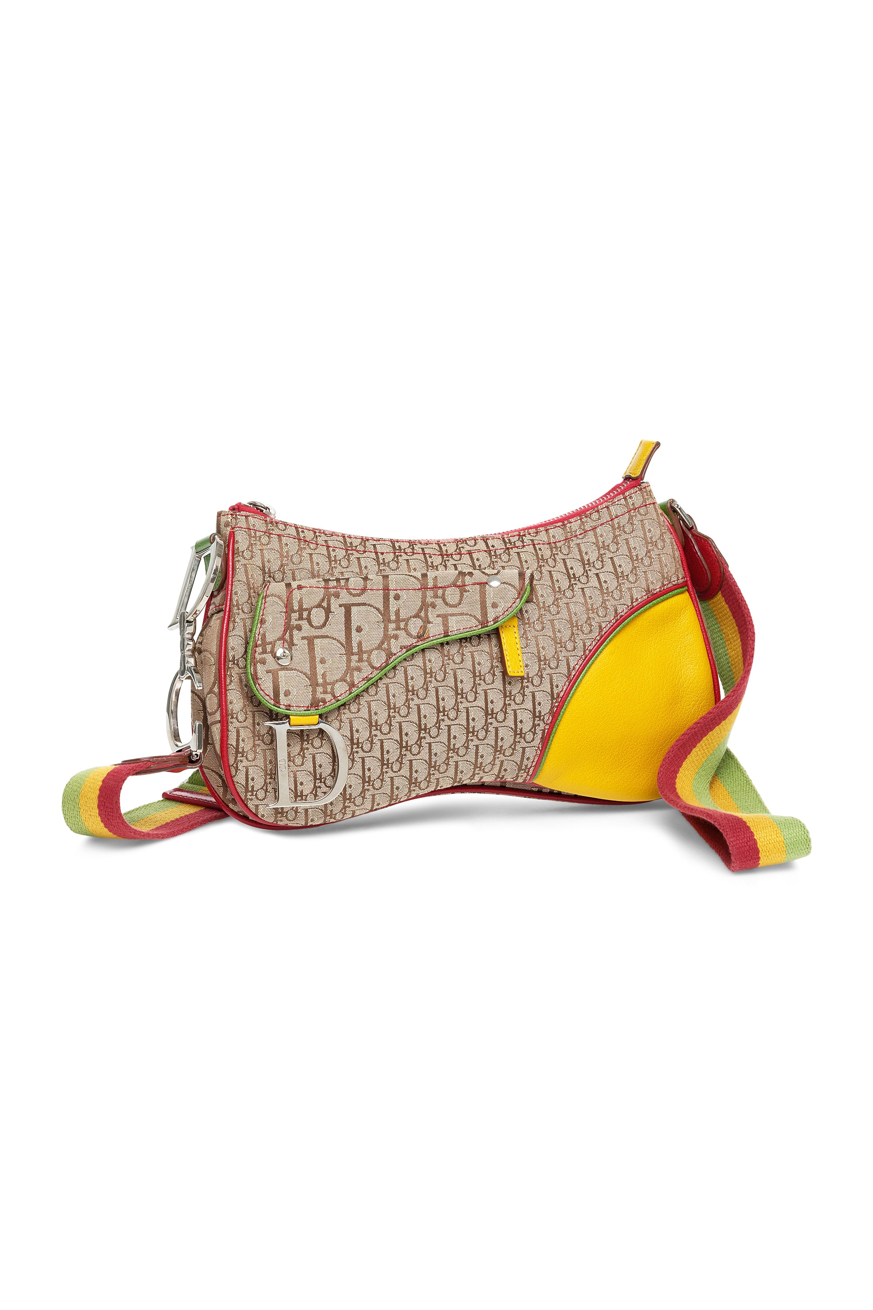 Christian Dior Rasta Saddle Crossbody